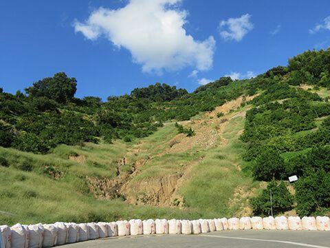 土砂崩れの様子。斜面のすぐ横にはみかん畑。