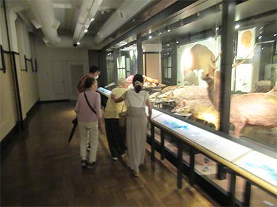 利用・協力両会員交流会